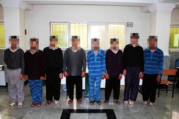 این ۸ دزد به ۲۰ میلیارد تومان سرقت از تهرانی‌ها اعتراف کردند/ عکس