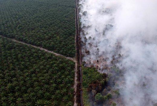 عکس هوایی از آتش سوزی جنگل‌ها در اندونزی