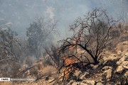 تصاویر | آتش‌سوزی ۴ روزه شیراز بالاخره مهار شد