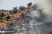 افزایش ۶۰ درصدی آتش‌سوزی در مراتع و جنگل‌های آذربایجان‌غربی