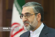 سخنگوی قوه قضائیه: سعید ملک‌پور از مرز خارج شده است