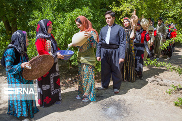 جشن چله تابستان در روستای زردوئی استان کرمانشاه
