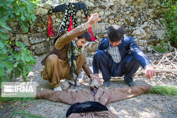 جشن چله تابستان در روستای زردوئی استان کرمانشاه