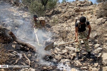 مهار آتش سوزی در کوهمره‌سرخی شیراز