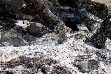 مهار آتش سوزی در کوهمره‌سرخی شیراز