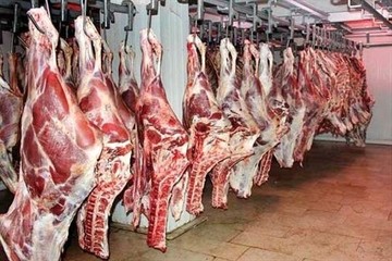 احتمال کاهش قیمت گوشت گوسفند تا ۷۵.۰۰۰ تومان