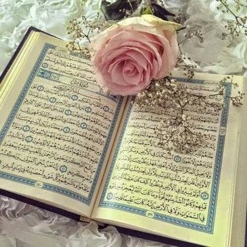 کز فراست ما به عالی منظریم