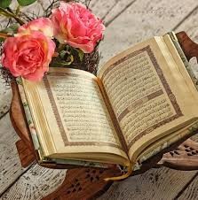  از سمک تا به سمایش کشش لیلا بُرد