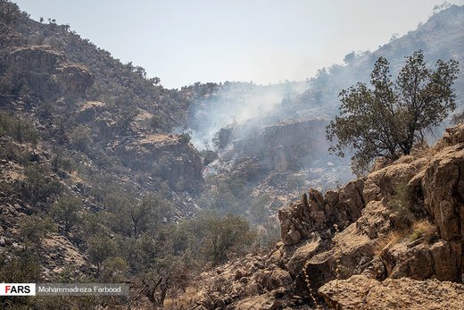 مهار آتش سوزی در کوهمره‌سرخی شیراز