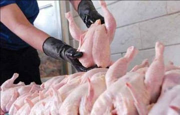 قیمت مرغ به ۱۴.۵۰۰ تومان رسید