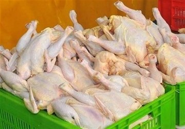 قیمت مرغ ۱۲ هزار و ۹۰۰ تومان است، با گران فروشان برخورد می‌شود