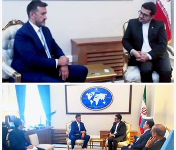 دیدار مدیرعامل خبرگزاری بوسنی‌وهرزگوین با سخنگوی وزارت خارجه