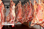 وزارت جهاد کشاورزی: واسطه‌ها نمی‌گذارند نرخ گوشت متعادل شود