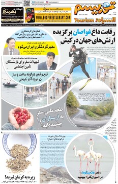 مطبوعات