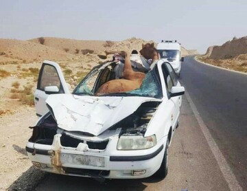 سرعت غیرمجاز ۳ عضو یک خانواده را به کشتن داد!
