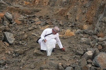 جمع‌آوری سنگ برای رمی جمرات