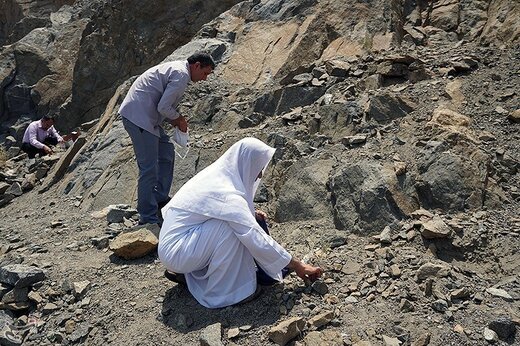 جمع‌آوری سنگ برای رمی جمرات