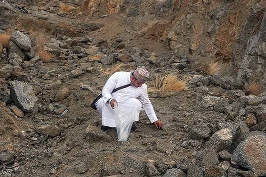 جمع‌آوری سنگ برای رمی جمرات