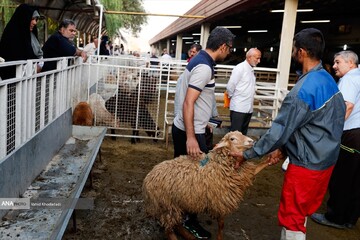 بازار فروش دام در تهران