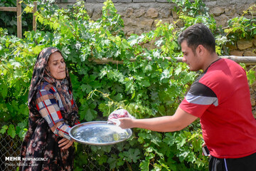 عید قربان در روستای کهلا استان زنجان