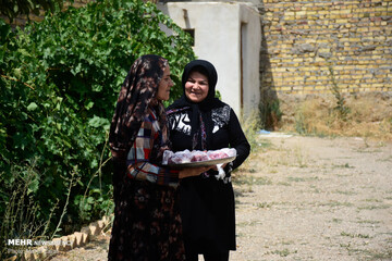 عید قربان در روستای کهلا استان زنجان