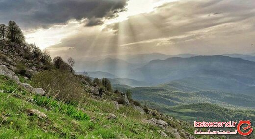 جنگل سنگده، بهشتی در قلب مازندران