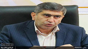 آمار عجیب دستگیری شکارچیان غیرمجاز: در یک استان ماهانه ۱۰۰ نفر بازداشت می‌شوند