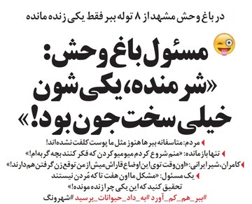 شیرینکاری عجیب در باغوحش مشهد! شیرینکاری عجیب در باغوحش مشهد!