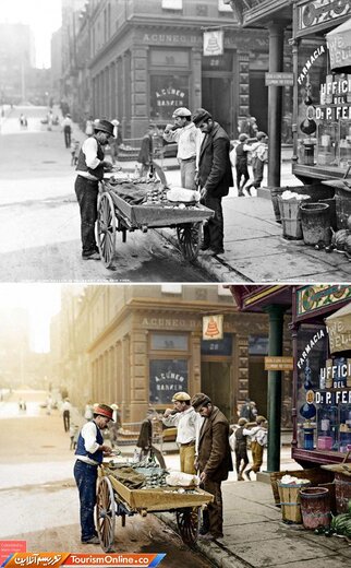 فروشنده صدف- نیویورک - ۱۹۰۰