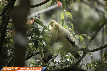 مسابقه عکاسی آگورا ۲۰۱۹