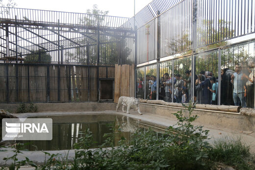 بازدید از باغ وحش ارم تهران