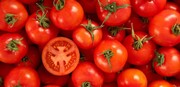 قیمت جدید گوجه‌فرنگی اعلام شد/ دارایی‌نژاد: ۵۰ درصد میوه‌ها روی دست مغازه‌ها مانده است