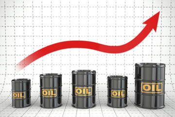 قیمت نفت گران شد