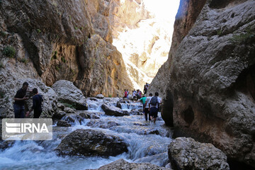 گردشگران در تنگه واشی