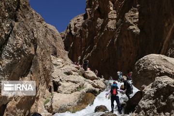 گردشگران در تنگه واشی
