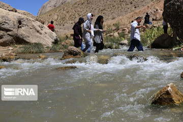 گردشگران در تنگه واشی