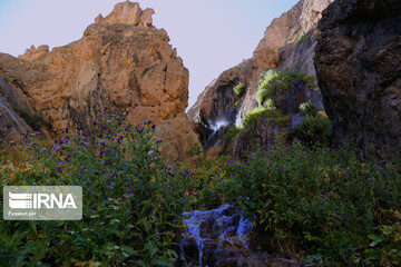 گردشگران در تنگه واشی
