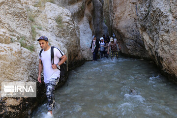 گردشگران در تنگه واشی