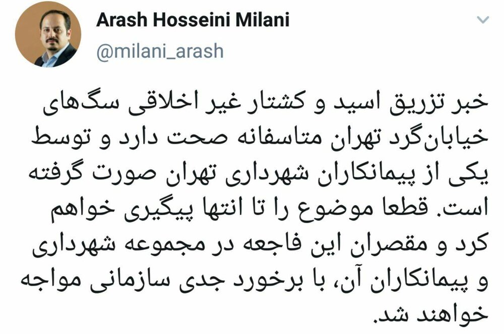 عضو شورای شهر تهران خبر از صحت ماجرای سگ کشی داد