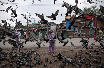 زندگی در کشمیر تحت سرکوب‎