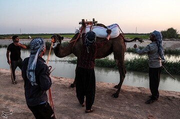 نخستین دوره مسابقات شتر سواری در روستای شیخ زهراب از توابع شهرستان حمیدیه