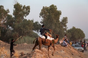 نخستین دوره مسابقات شتر سواری در روستای شیخ زهراب از توابع شهرستان حمیدیه
