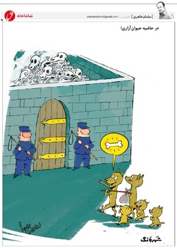 پشت‌پرده سگ‌کشی در تهران لو رفت!