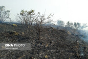 آتش‌سوزی در جنگل‌های ارسباران / عکس