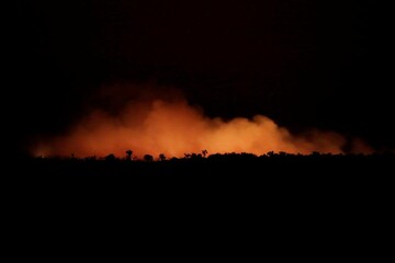 بلند شدن دود ناشی از آتش‌سوزی در منطقه ای از جنگل‌های بارانی آمازون واقع در ایالت آمازوناس برزیل