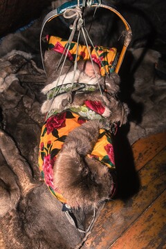 زندگی در سرزمین های قطبی روسیه‎