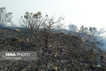 آتش‌سوزی در جنگل‌های ارسباران/عکس