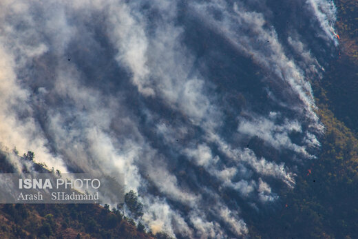 آتش سوزی در جنگل های ارسباران