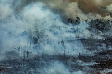 زمین در بحران آتش‌سوزی؛ از آمازون تا ارسباران