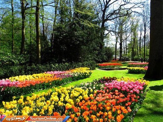 باغ لاله –هلند-